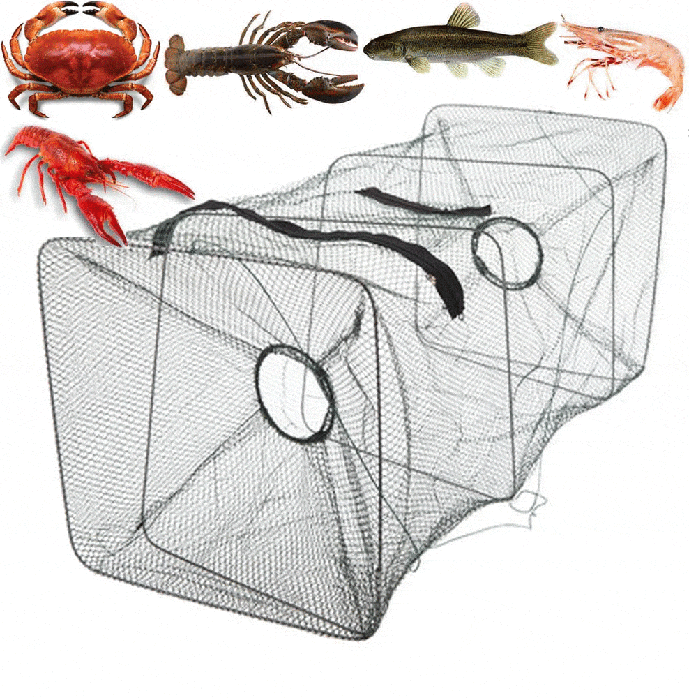 Fishing Net Foldable Cage Trap for Crab Minnow Crawfish Shrimp 3 Bros Brands 218 Fishing Net