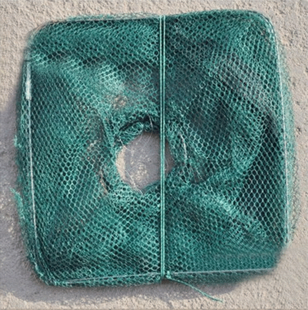 Fishing Net Foldable Cage Trap for Crab Minnow Crawfish Shrimp 3 Bros Brands 218 Fishing Net