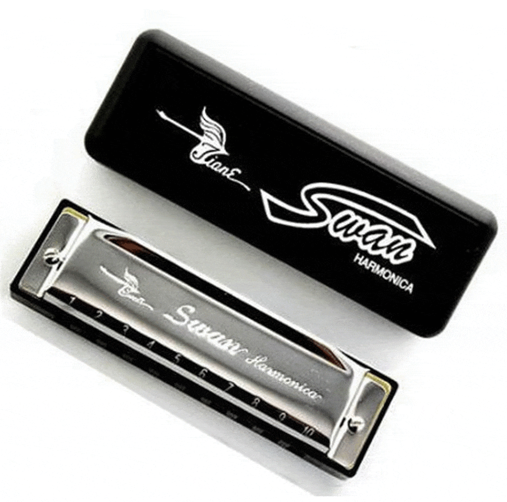 Harmonica Stainless Steel 10 Holes Key of C Silver With Case 3 Bros Brands 227 Harmonica