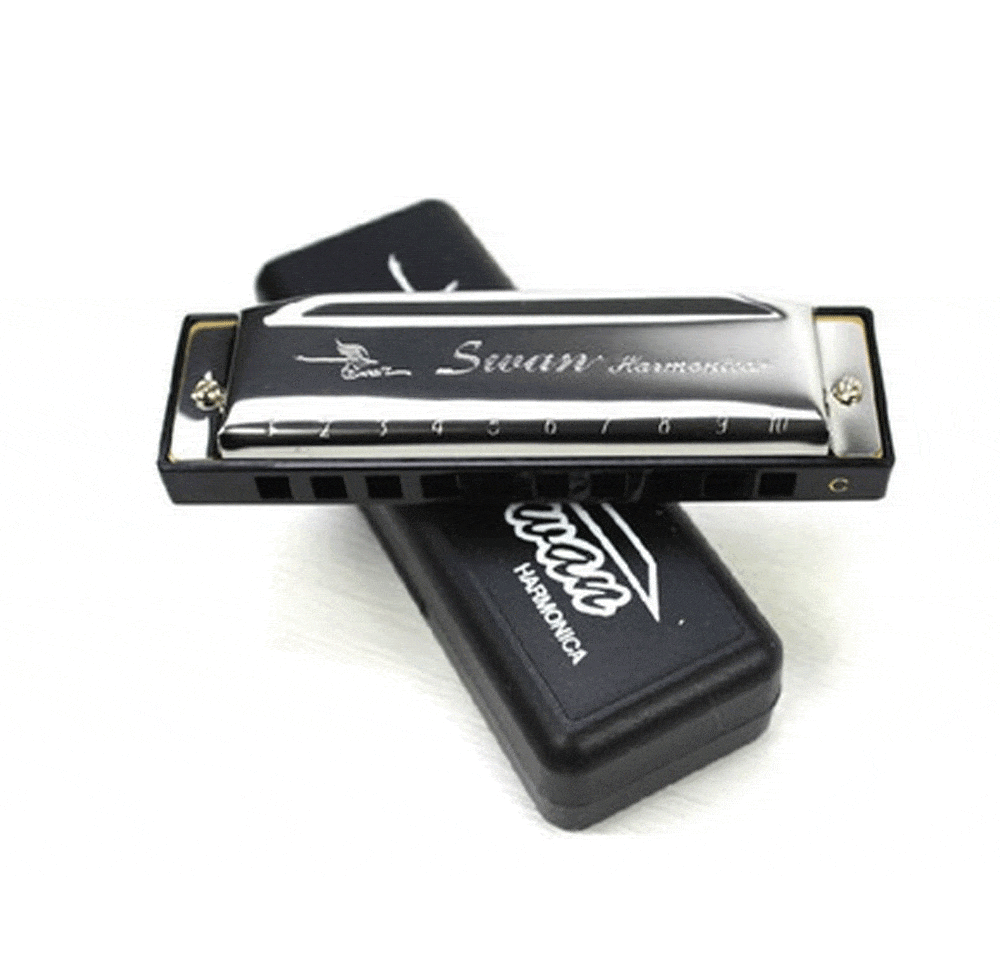 Harmonica Stainless Steel 10 Holes Key of C Silver With Case 3 Bros Brands 227 Harmonica