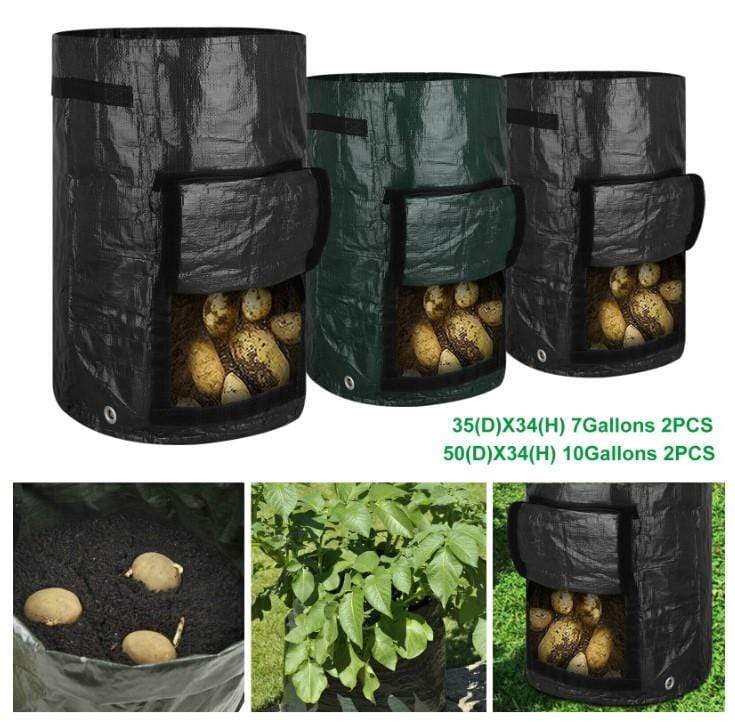 Potato Planting Bags Set of 2 Plant Growing 10 Gallon Containers 3 Bros Brands 109 Grow Bags