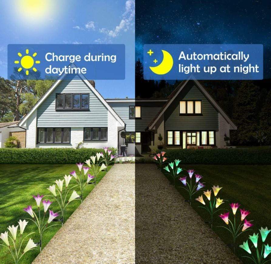 Solar LED Flowers Color-Changing Lights Set of 2 For Garden Decor 3 Bros Brands 164 Solar Lights